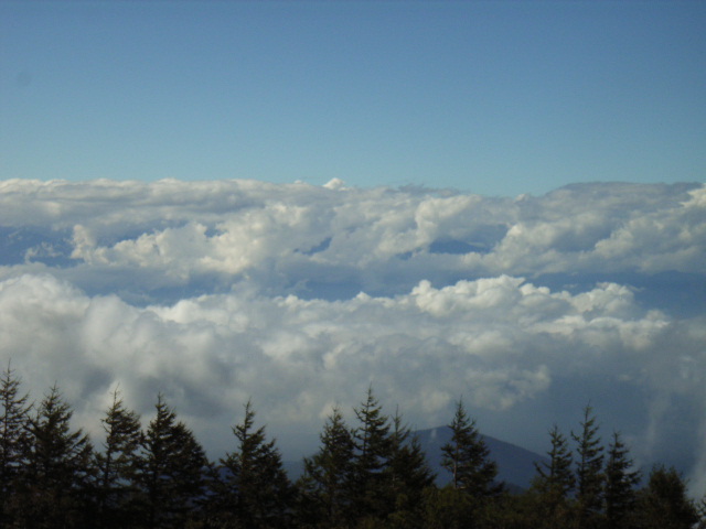 e0177824_21252099.jpg