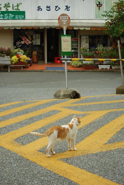 小湊鉄道　養老渓谷駅　その１_d0085228_215873.jpg