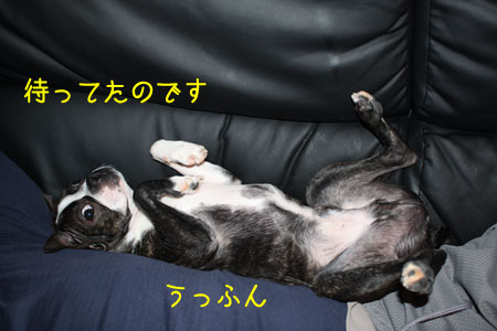 a0190132_23455771.jpg