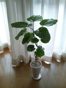 d0048332_10271236.gif