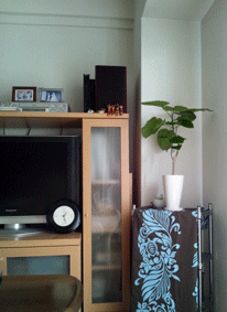 d0048332_1038873.gif