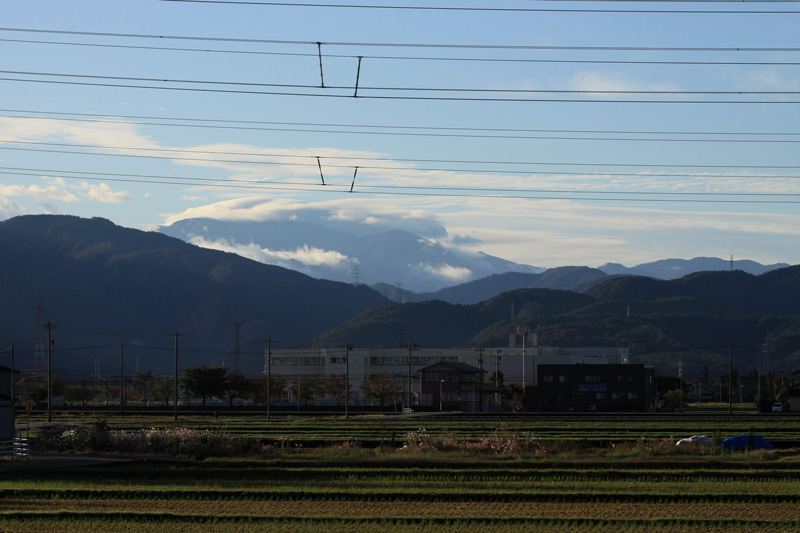 b0177233_53511.jpg