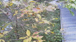f0161535_2222428.jpg