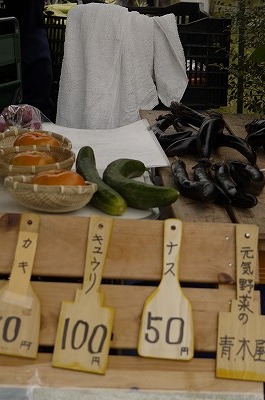 f0193737_1154519.jpg