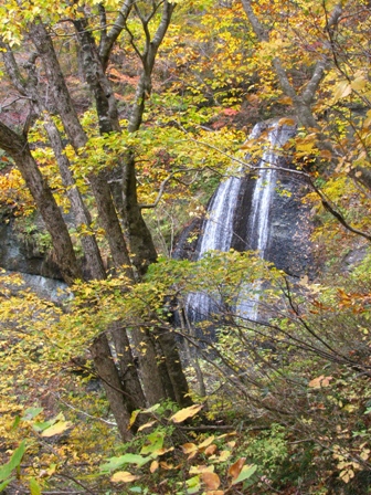 白糸の滝は紅葉ピーク！！　　♪♪　　　_c0204740_20374546.jpg