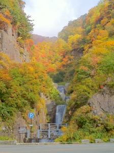 白山スーパー林道　*　丹波_f0179642_1914487.jpg