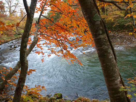 東北奥入瀬渓流の旅！_a0232543_12163032.jpg