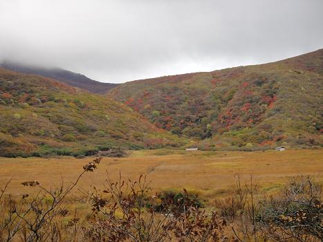 e0164643_1495229.jpg