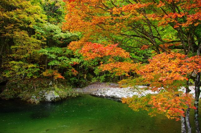 紅葉を求めて~せせらぎ街道_d0186245_14345727.jpg