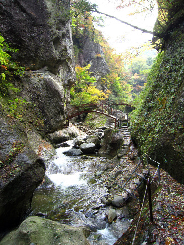 面白山高原駅前 紅葉川渓谷 山形県 その3 963 77 面白山高原駅前 紅葉川渓谷 山形県 その3 963 77