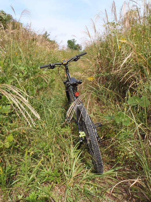 秩父鉱業高本線・日本セメント東松山専用線探索：岩石採取場_a0017848_22285195.jpg