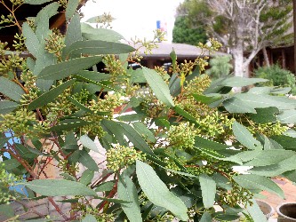 e0156650_16263775.jpg