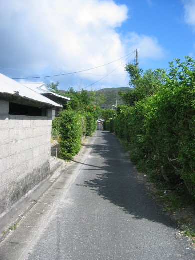 奄美大島に行ってきました。_b0072051_20591639.jpg