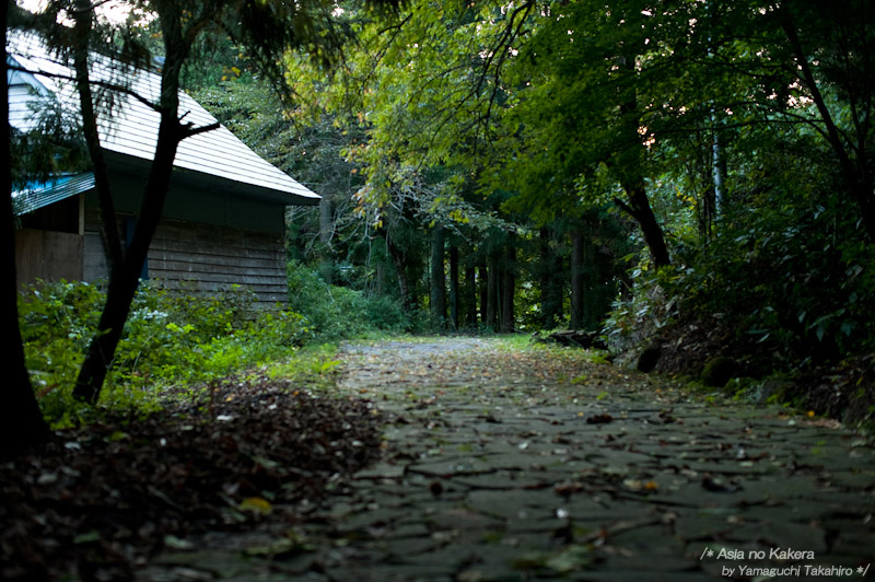 Photo Stream　～ 地蔵の振袖のおはなし ～　七ヶ宿町・宮城県_d0080957_21233097.jpg