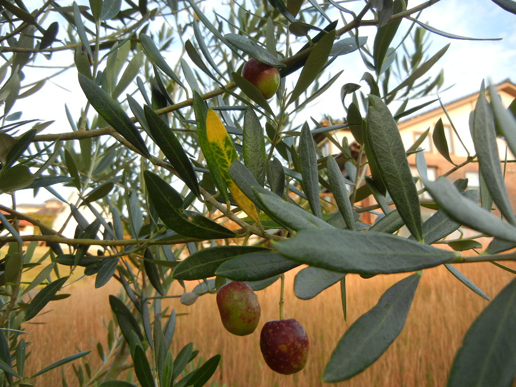 f0060461_10871.jpg