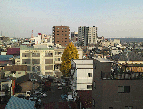 b0101263_14373458.gif