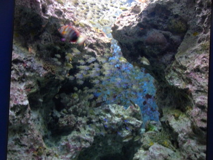 f0238166_858318.jpg