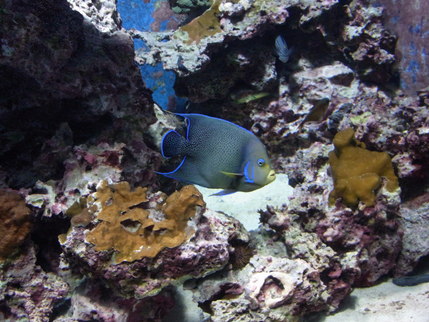 f0238166_858789.jpg