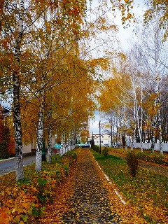 b0203370_24457.jpg