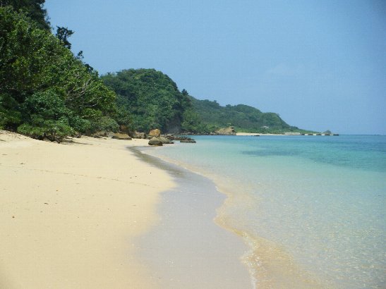 b0116271_11403723.jpg