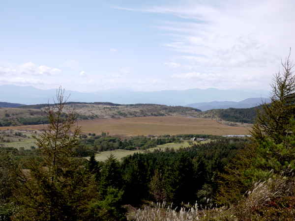a0207672_13161665.jpg