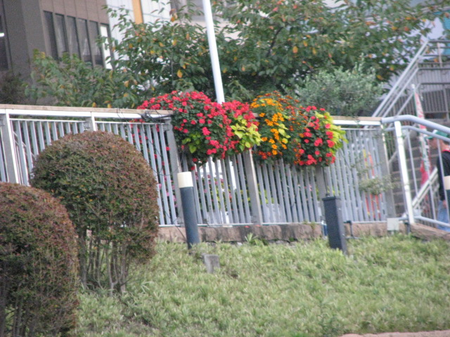b0161073_10331391.jpg