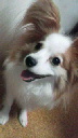 a0207574_9531915.jpg