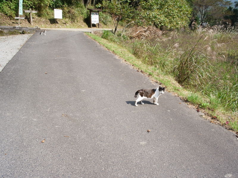 c0177576_1142511.jpg