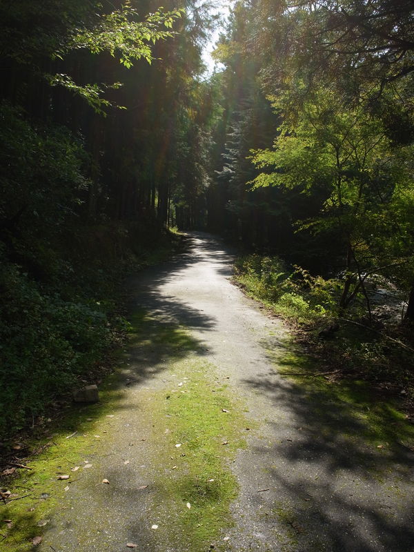 c0177576_12222879.jpg