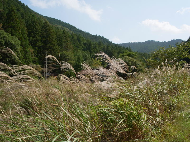 c0177576_12232270.jpg