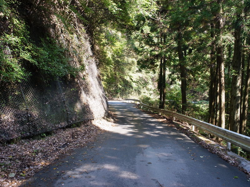 c0177576_12283622.jpg