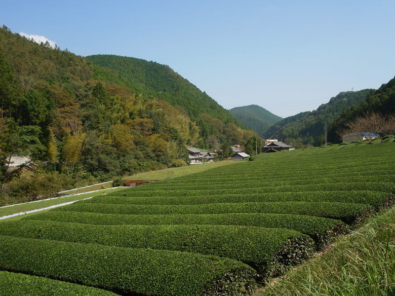c0177576_12331594.jpg