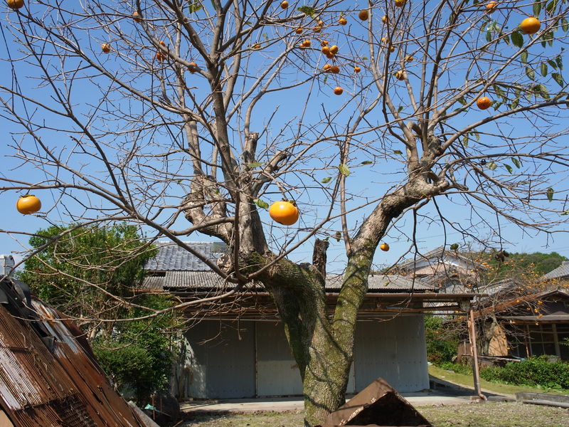 c0177576_17594938.jpg