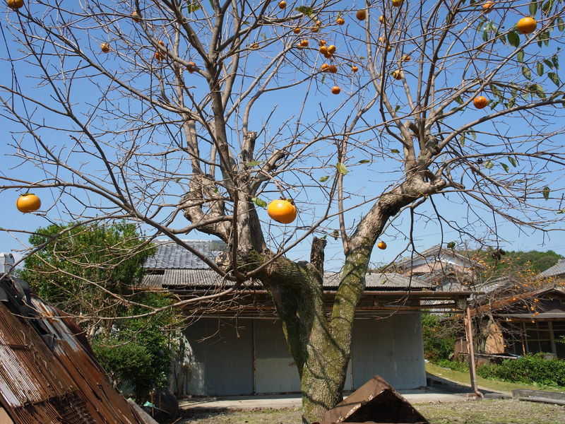 今年はブロでお伊勢参り～秋の修行ライド～③_c0177576_17594938.jpg