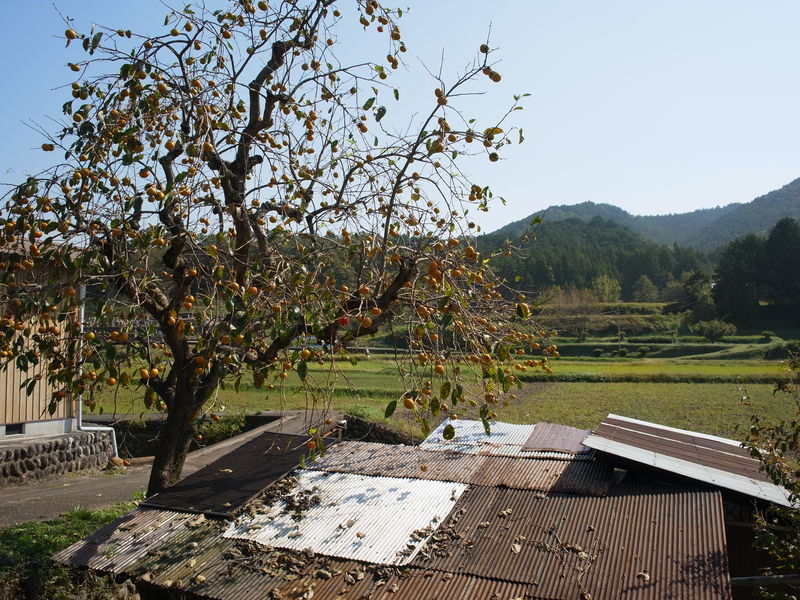 c0177576_1801081.jpg