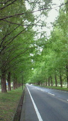 f0116278_2261682.jpg