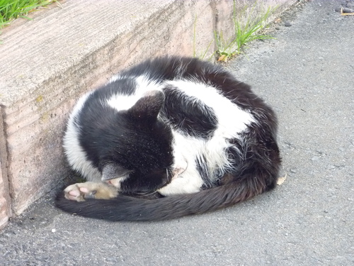 f0230992_156610.jpg