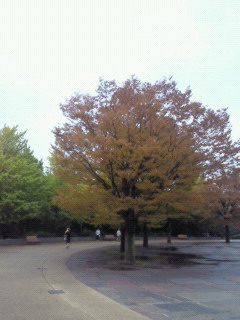 f0061797_23395532.jpg