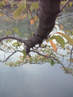 f0061797_23405712.jpg