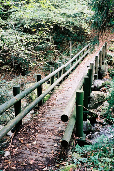 b0086098_2142639.jpg