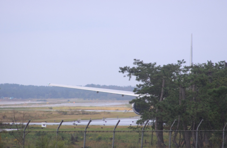 b0138798_10323423.jpg