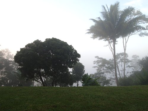 a0036499_042167.jpg