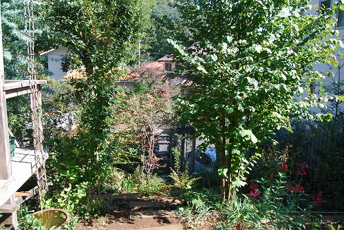 c0124100_23431762.jpg