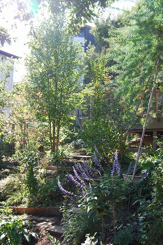 c0124100_23442737.jpg