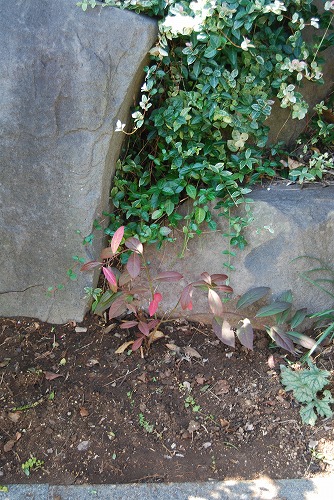 c0124100_23453770.jpg