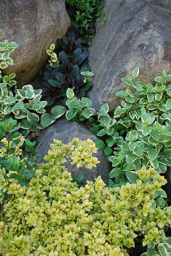 c0124100_23455348.jpg