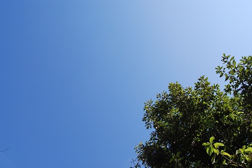 c0124100_2345570.jpg