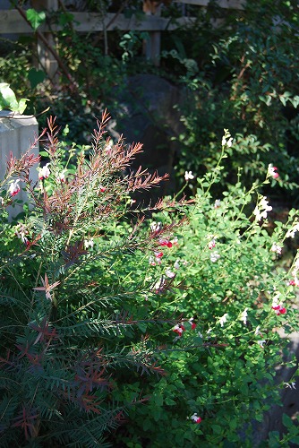 c0124100_23461253.jpg