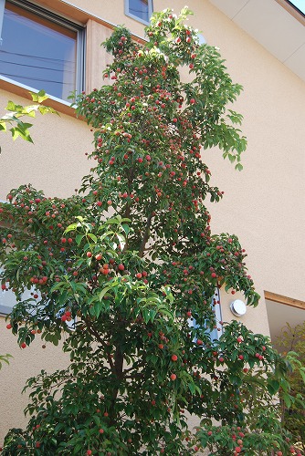 c0124100_23462523.jpg