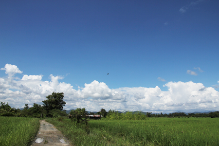 d0185703_05371.jpg